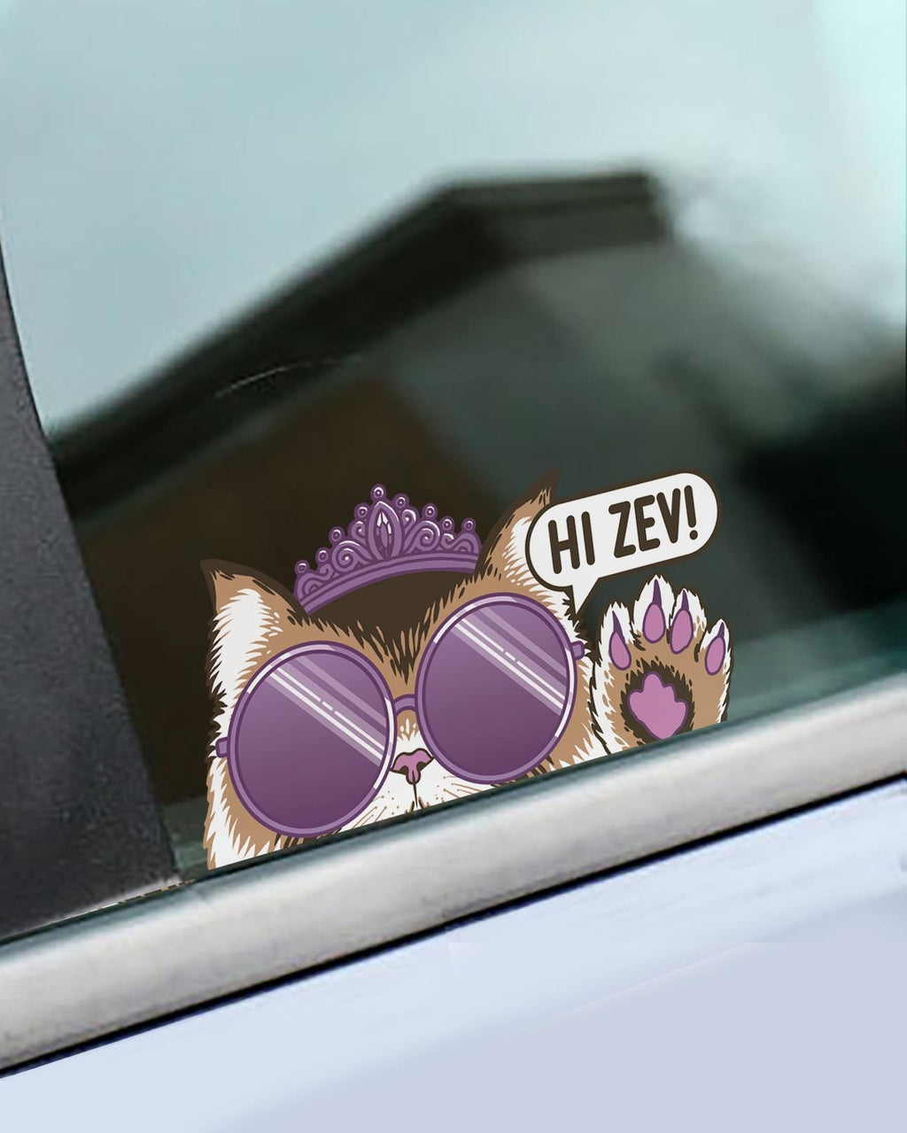 Hi Zev! Color Decal
