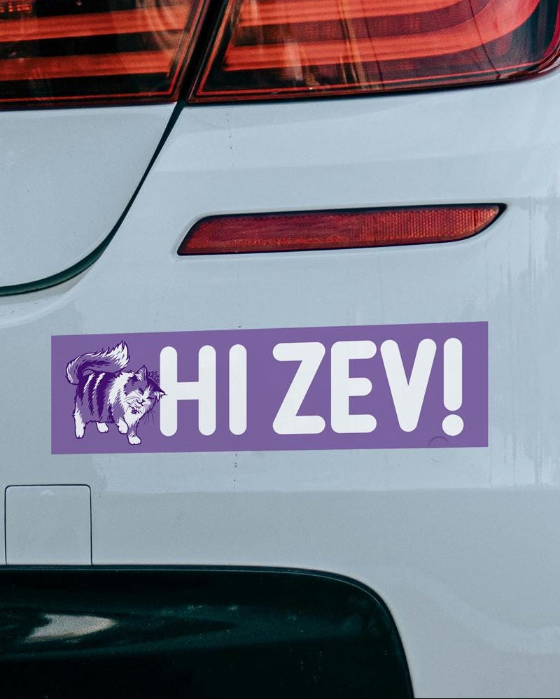 Hi Zev! Bumper Sticker