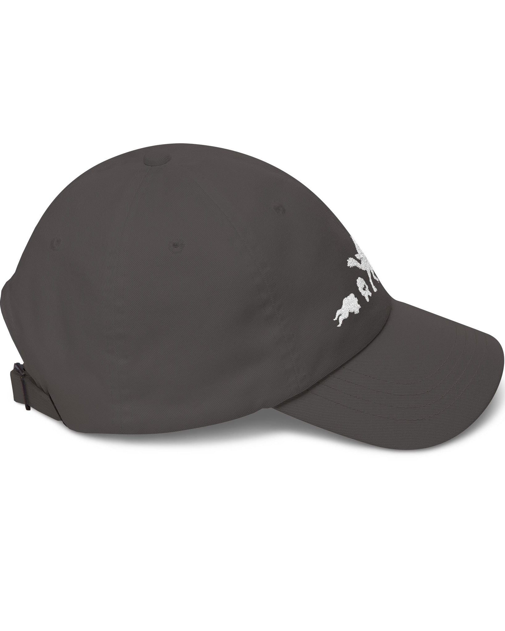 Silhouettes Embroidered Hat