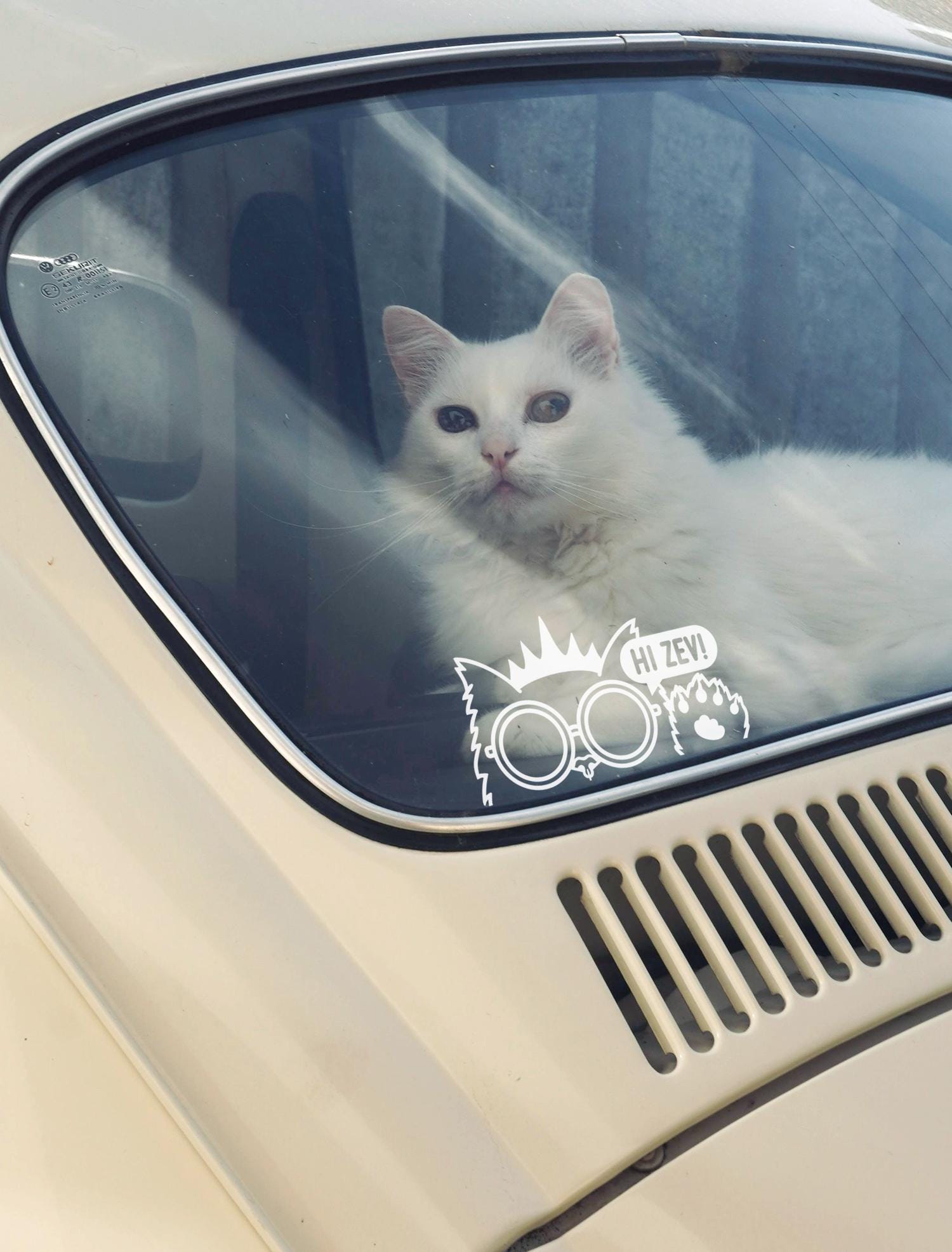 Hi Zev! White Decal