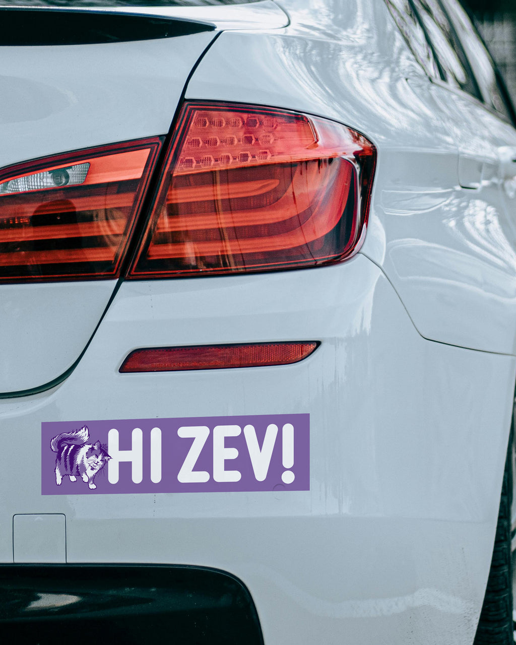 Hi Zev! Bumper Sticker