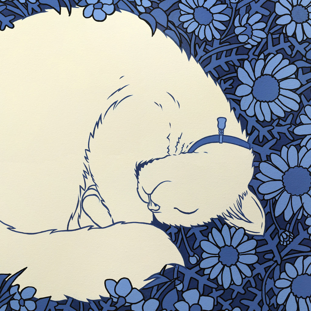 Full Cat Moon