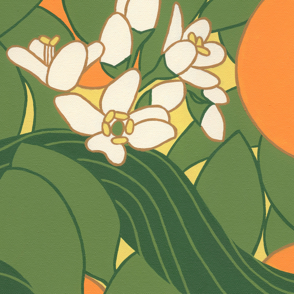 The Orange Tree